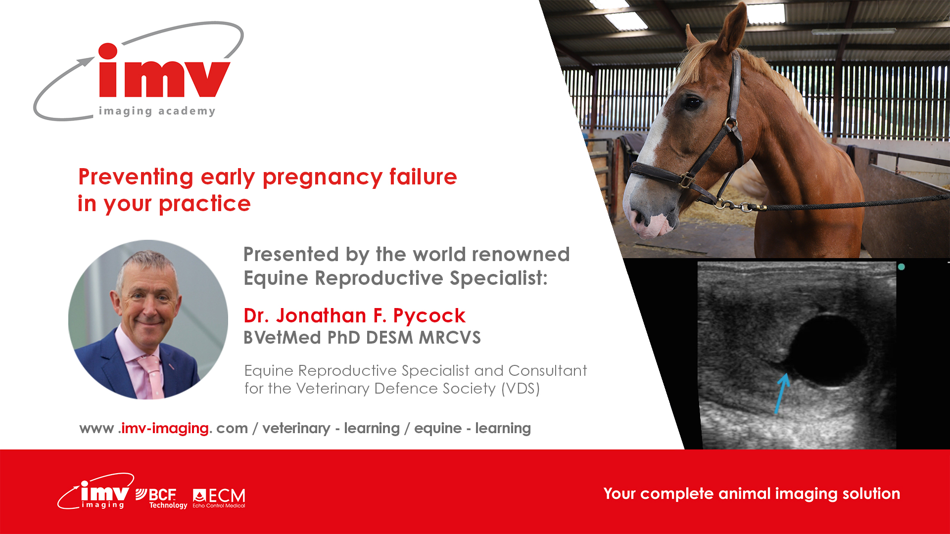 Preventing Early Pregnancy Failure In Your Practice Preventing Early Pregnancy Failure In Your Practice